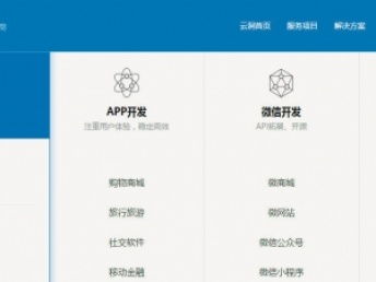 上海金融軟件定制開發 專業服務，實地考察助推項目落地